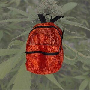 Fluorescent Orange Mesh Backpack